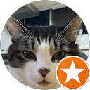 monjiro kimagure profile picture